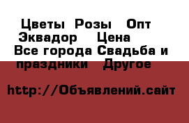 Цветы. Розы.  Опт.  Эквадор. › Цена ­ 50 - Все города Свадьба и праздники » Другое   